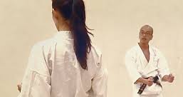 Image result for Abbey Shorinji Kempo Dojo