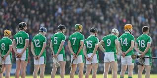 Image result for University Of Limerick Gaa Hurling Club