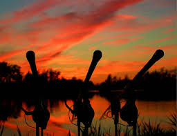 Image result for Hull & District Anglers' Association