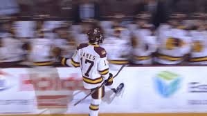 Image result for dominic james