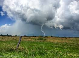 Image result for Halstead Cyclones