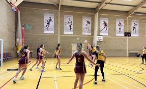 Image result for The Downs Netball Club