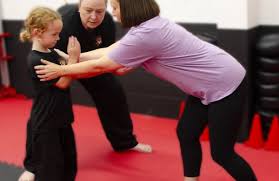 Image result for Llantrisant Tkd