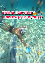 Image result for Chelmsford Octopush Club