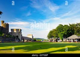 Image result for Belle Vue Castle Bowls Club