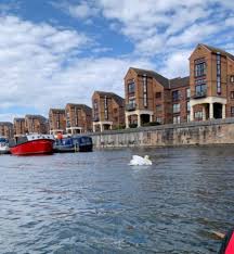 Image result for Amathus Dragon Boat Club