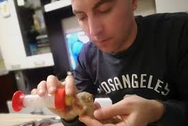 Картинки по запросу белку зажевало в диск