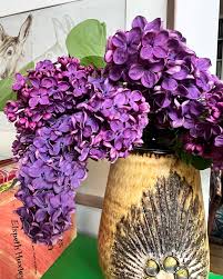 Attēlu rezultāti vaicājumam “Syringa vulgaris flower”