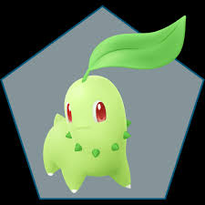 Image result for Endivie