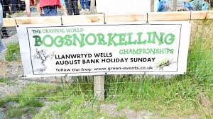 Image result for Bog Snorkelling Championships