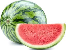 Attēlu rezultāti vaicājumam “Citrullus lanatus”