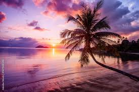 Image result for sunset