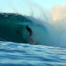 Image result for Raven Surf School