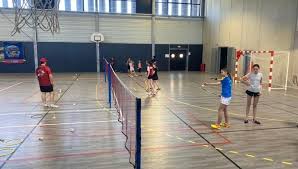 Image result for The Isle Badminton Club