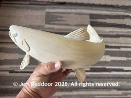 Image result for Salmo ciscaucasicus