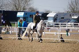 Image result for North Lammermuir Riding Club