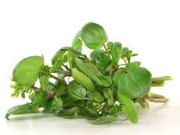 Image result for Brunnenkresse