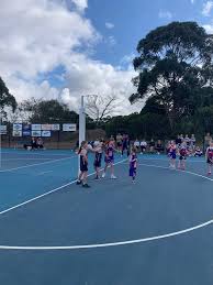 Image result for Chelmsford Netball Club