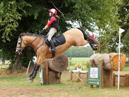 Image result for Chiddingfold Branch Of The Pony Club