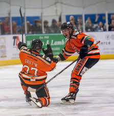 Image result for Telford Tigers