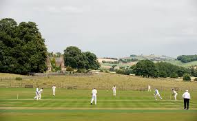 Image result for Sandyford Cricket Club