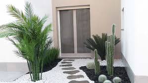 Attēlu rezultāti vaicājumam “Enteridium variabile”