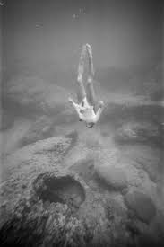 Image result for Deep and Wide Diving