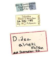 Attēlu rezultāti vaicājumam “Didea alneti”