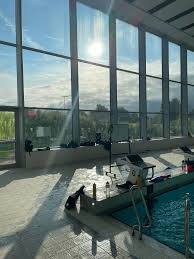 Image result for Derby Phoenix Swimming Club