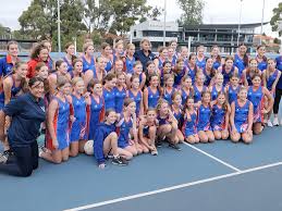 Image result for Camelot Netball Club