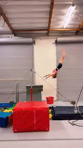 Image result for Monarchs Sports Acrobatics Club