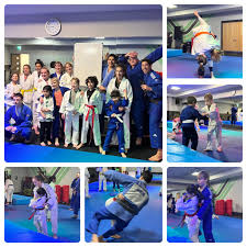 Image result for Plumstead Judo Club
