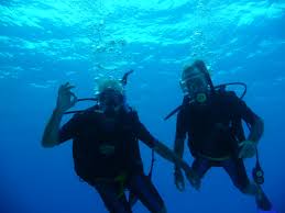 Image result for Seabug Divers