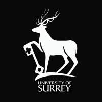 Image result for University Of Surrey