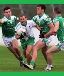 Image result for Sarsfield Gfc