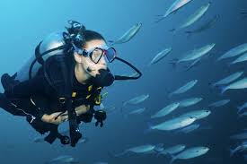 Image result for Manta Divers Sub-Aqua Club