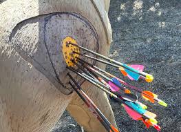 Image result for Silver Arrow Archery
