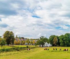 Image result for sonsbeek park