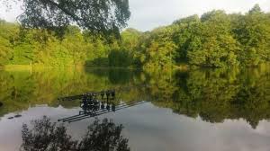 Image result for Bay Malton Angling Club