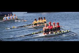 Image result for Ddrc (The Club)