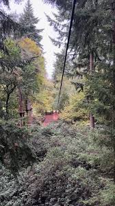 Image result for Go Ape! Thetford