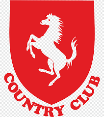 Image result for Cwmbran Celtic F C