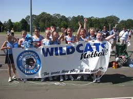 Image result for Twinkles Netball Club