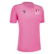 Image result for Old Chelts Netball Club