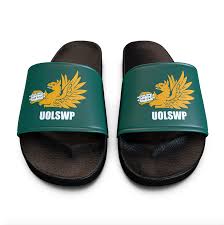 Image result for Leicester waterpolo club