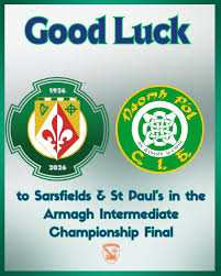 Image result for Sarsfield Gfc