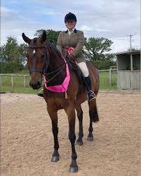 Image result for Huntingdon and District Riding Club