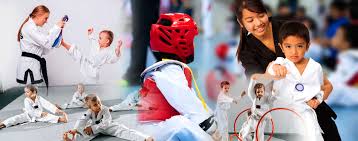 Image result for New Milton Taekwondo Club