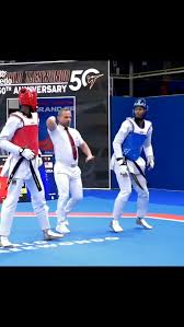 Image result for Wolverine MMA