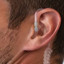 Image result for ear mod